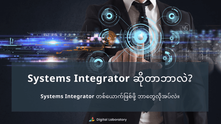 Systems-Integrator-1.png
